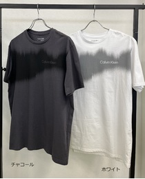 【Calvin Klein】CK DIGITAL WAVE LOGO TEE【メンズ】