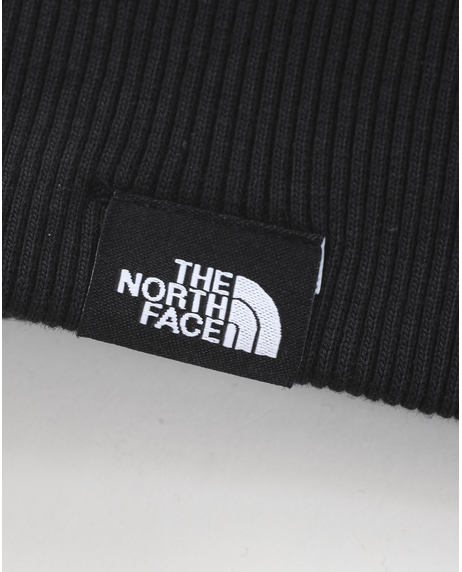 【THE NORTH FACE】TNF  REDBOX HOODIE