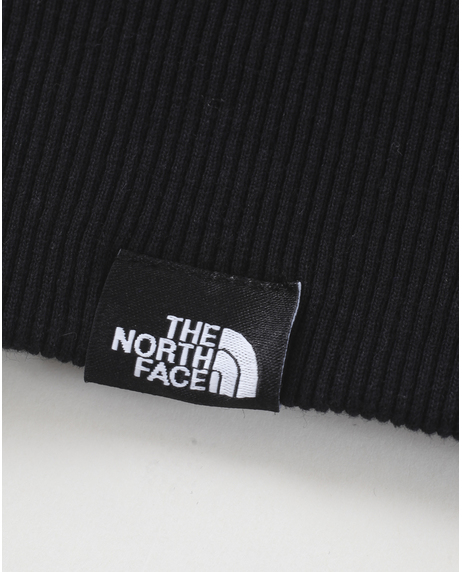 【THE NORTH FACE】TNF  GALAHM GRAPHIC HOODIE