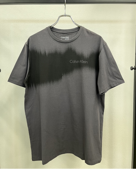 【Calvin Klein】CK DIGITAL WAVE LOGO TEE【メンズ】