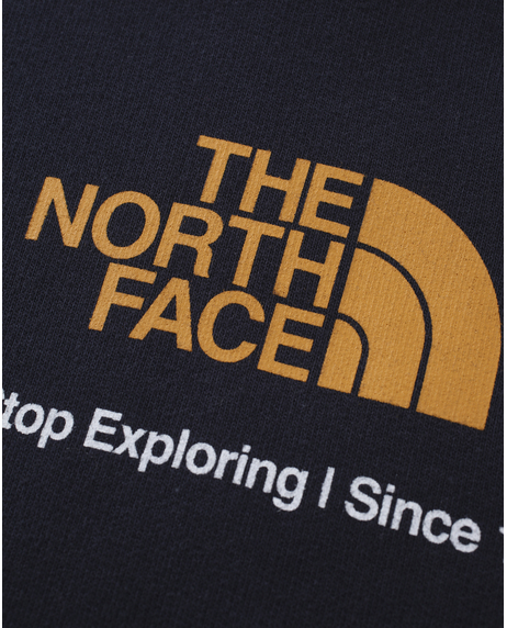 【THE NORTH FACE】TNF  NEW CLIMB P/O HOODIE