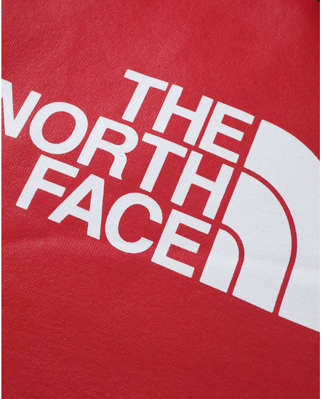 【THE NORTH FACE】TNF  BOX Pullover Hoodie