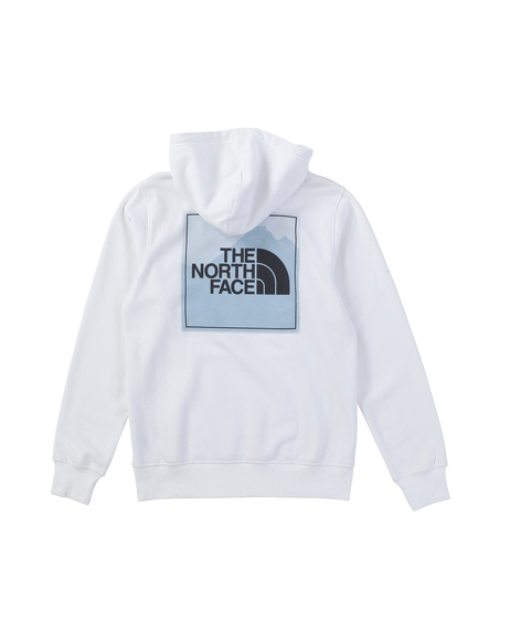 【THE NORTH FACE】TNF  Coordinates Recycled Hoodie