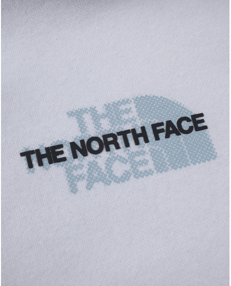 【THE NORTH FACE】TNF  Coordinates Recycled Hoodie