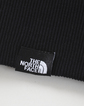 【THE NORTH FACE】TNF  GALAHM GRAPHIC HOODIE