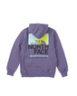 【THE NORTH FACE】TNF  Coordinates Hoodie